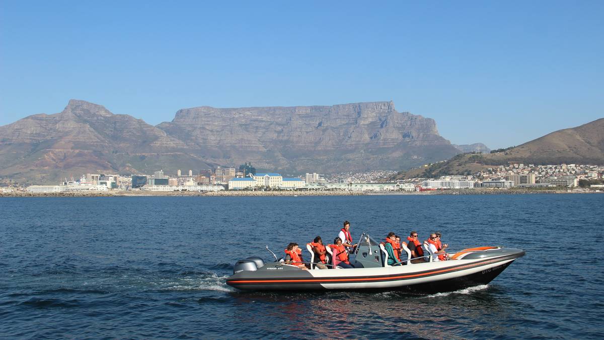 Mariene ecotour in Waterfront, Kaapstad