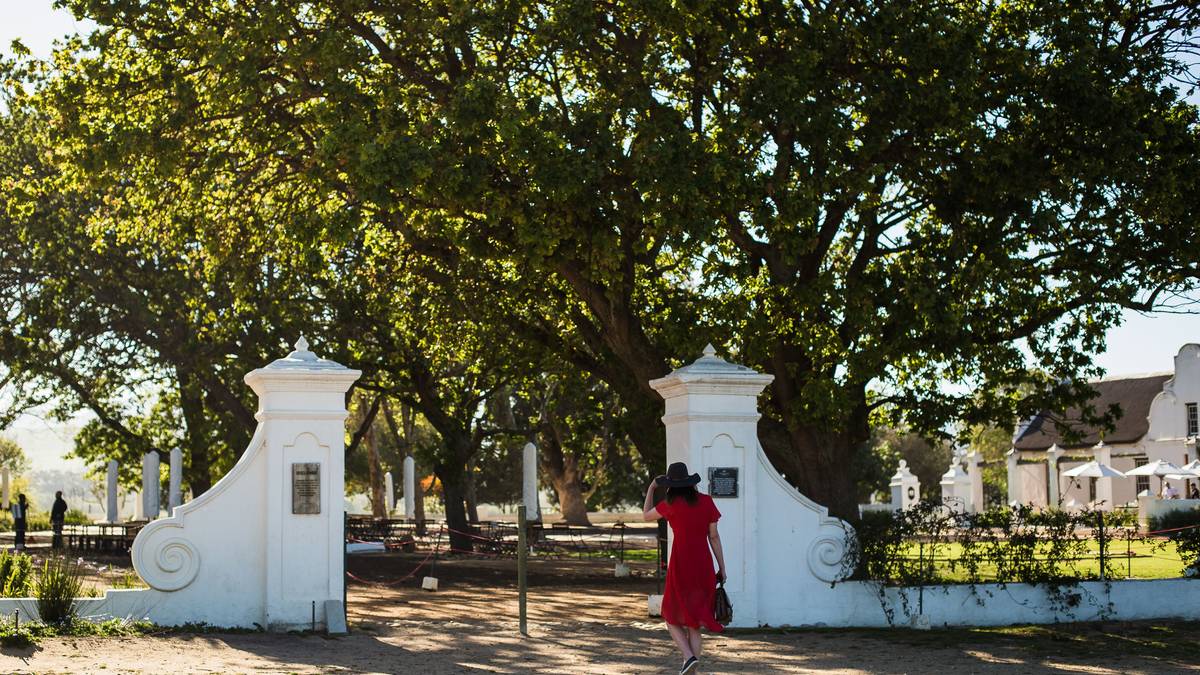 Stellenbosch en Franschhoek wijnproeverij (privé)