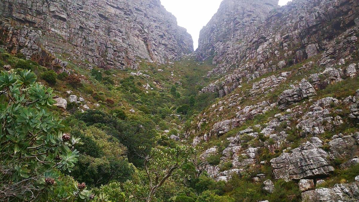 Wandeling Tafelberg (via Platteklip)