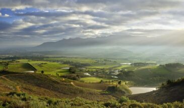 Winelands Wine Tour South Africa 1
